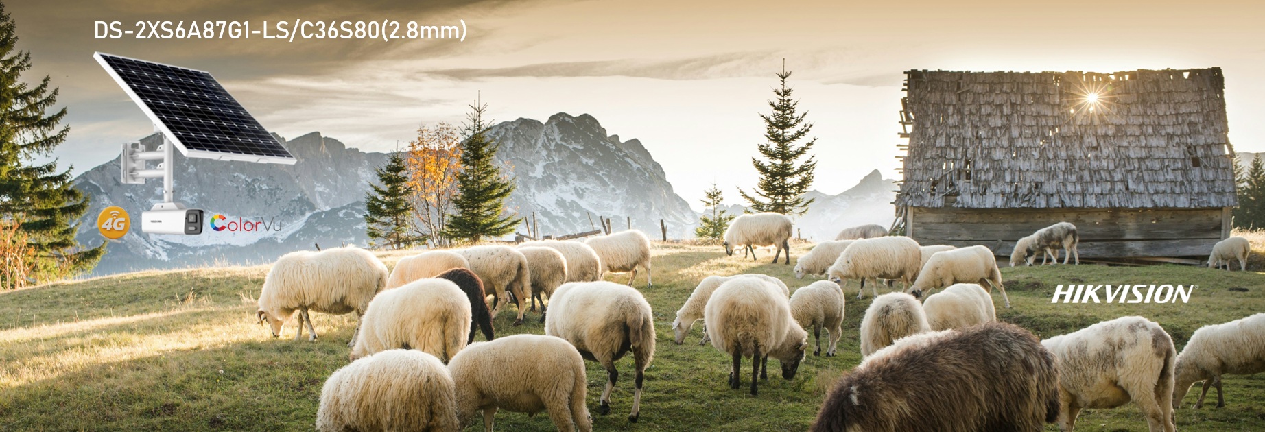 Caméra Solaire 4G DS-2XS6A87G1-LS/C36S80(2.8mm)(O-STD)